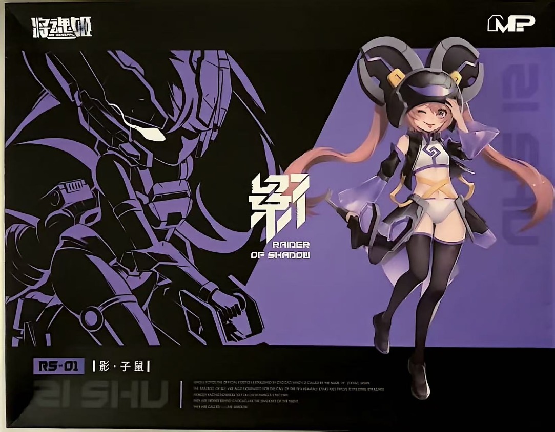 MS GENERAL Raider of Shadow RS - Model Kit Ms General recensie en prijs
