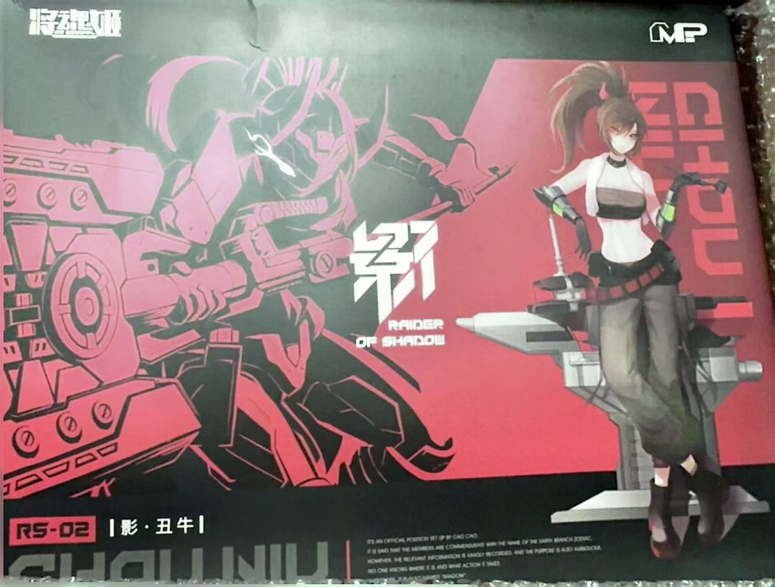MS GENERAL Raider of Shadow RS - Model Kit Ms General recensie en prijs